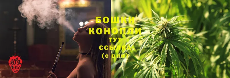 Конопля OG Kush  МЕГА ссылки  Сортавала  где продают наркотики 